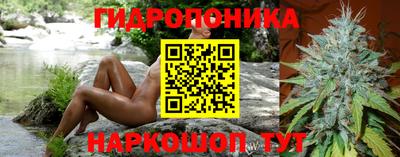мдпв Кандалакша