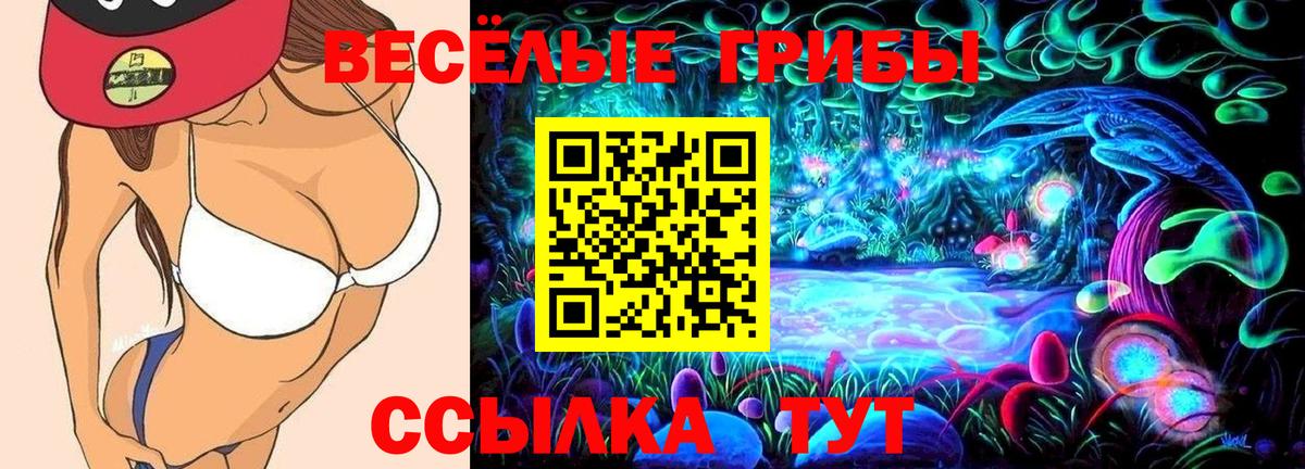 Галлюциногенные грибы MAGIC MUSHROOMS Кумертау